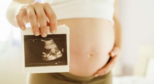 De baby in je buik op de foto: een echografie