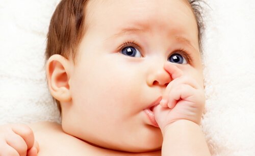 Baby die duimt