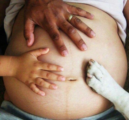 Zwangere buik met handen en hondenpootje