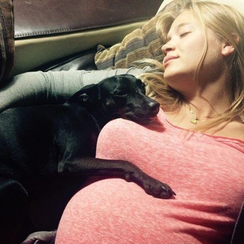 Hond en zwangere vrouw die samen slapen
