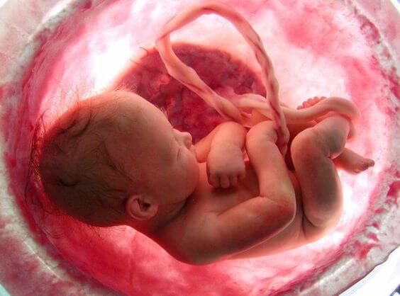 7 verrassende feiten over zwangerschap
