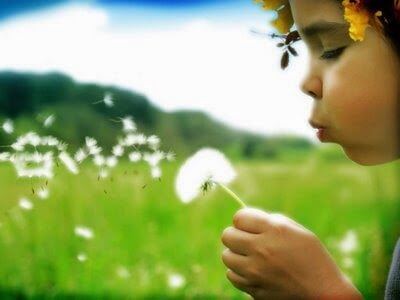 Is je kind een indigo