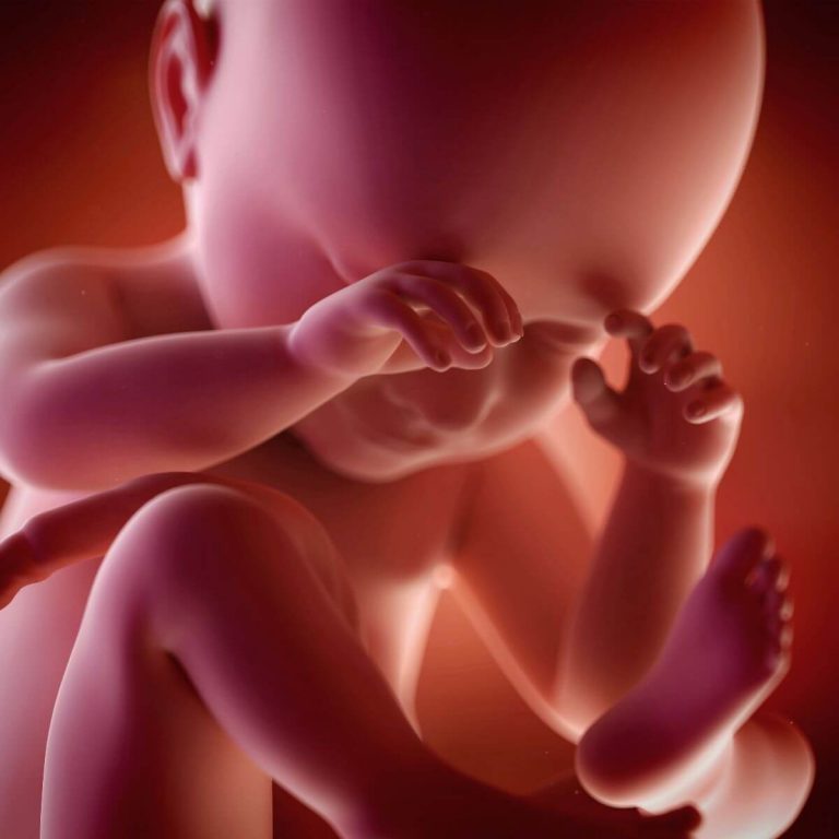 Baby voelt emoties in baarmoeder