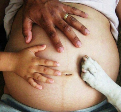 Zwangere vrouw met man, kind en hond