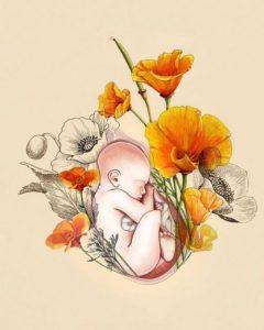 Ik hou van je sinds je eerste hartslag