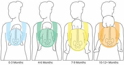 Pasgeboren baby's hebben een natuurlijke C-vorm in hun ruggengraat
