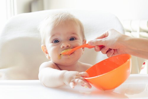 Vast voedsel: een hele nieuwe wereld voor baby's
