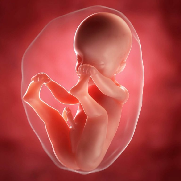Week 25 van de zwangerschap: wat kan je verwachten