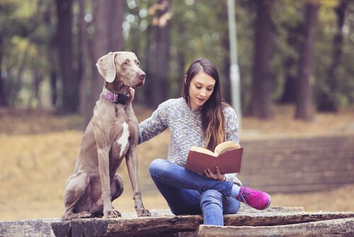 Beste boeken voor tieners De 8 beste boeken voor tieners