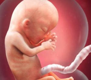 Week 13 van je zwangerschap: weetjes en tips