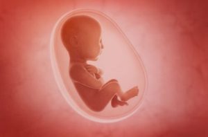 Aangeboren afwijkingen: soorten en preventie