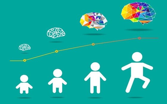 Hersenontwikkeling bij kinderen komt van "binnenuit"