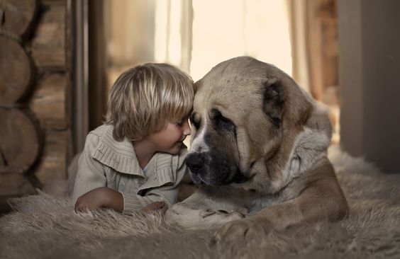 Eerlijk zijn: jongetje en hond