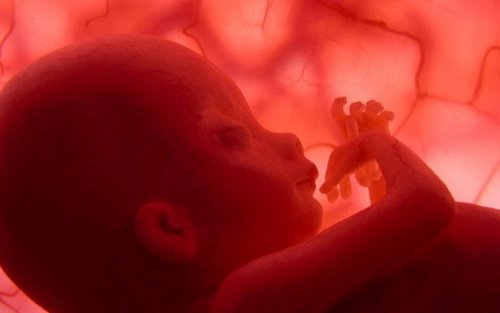 Foetus groeit niet bij mola-zwangerschap