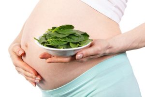 IJzerrijk voedsel voor zwangere vrouwen