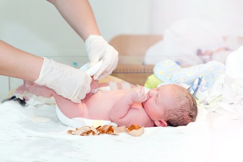 Hoe kan je de navelstreng na de bevalling doneren