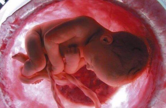 Slapende baby in baarmoeder