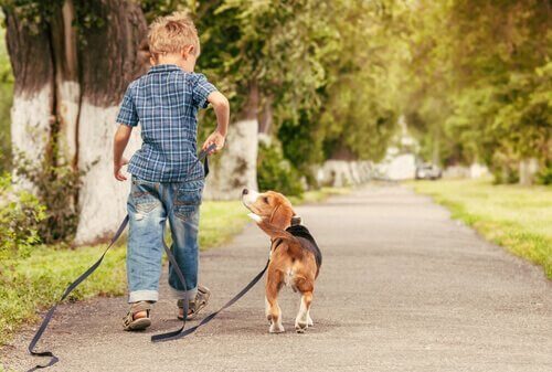 Jongen heeft hond aan de riem