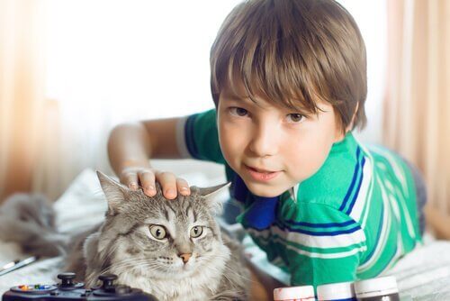 Jongen aait kat
