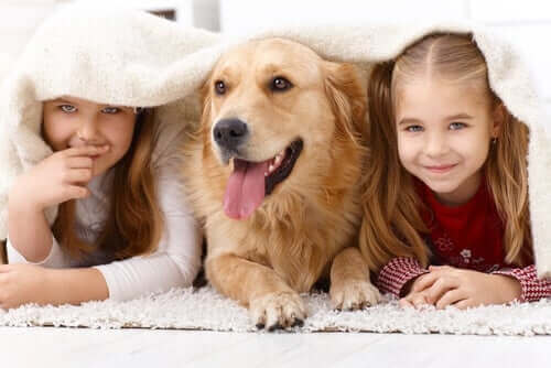 Kinderen met een golden retriever