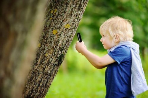 Kind verkent de natuur met een vergrootglas