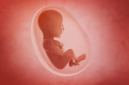 Baby in vruchtwater