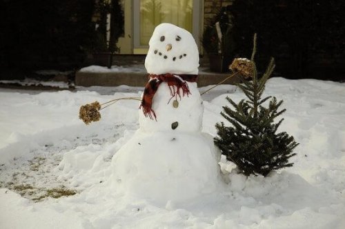 Sneeuwpop maken