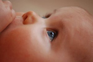 Wat beïnvloedt de genetica van een baby?