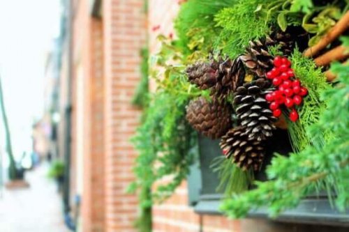 6 ideeën om je tuin voor kerst te versieren