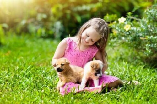 Meisje met puppy's