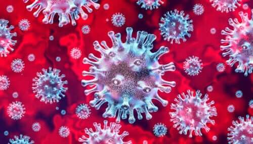 Close-up van het coronavirus