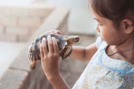 Verbeteren van het zelfvertrouwen door middel van de schildpadtechniek