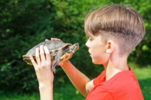 Gevolgen van de schildpadtechniek op het zelfvertrouwen