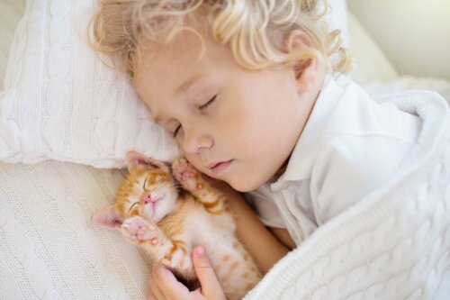 Een baby met een kitten