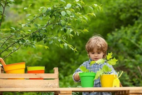 Jongetje zorgt voor planten
