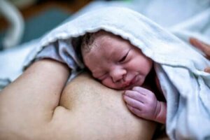 De ontwikkeling van de maag van een baby
