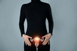 Wat zijn de eileiders?