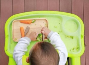 Wat is het beste: gepureerde babyvoeding of de Rapley-methode?