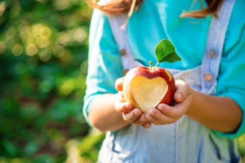 Ontdek 3 voordelen van appels voor kinderen