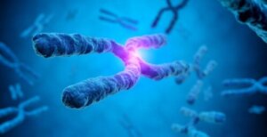 Wat is een chorionbiopsie en wat zijn de implicaties ervan?