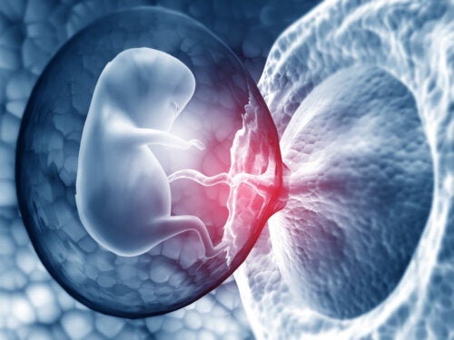 Een verkalkte placenta: wat je moet weten
