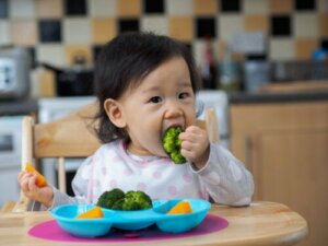 Hoe kun je het kauwen bij baby's stimuleren?