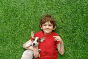 Het hebben van een hond en de sociale en emotionele ontwikkeling
