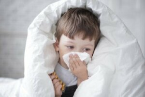 Wat is propolis en wat zijn de voordelen ervan voor kinderen?