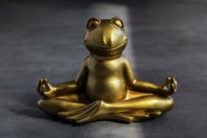 De kikkertechniek: een oefening voor de zelfbeheersing van kinderen