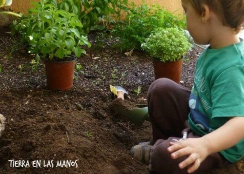Kinderen leren hun eigen voedsel te verbouwen