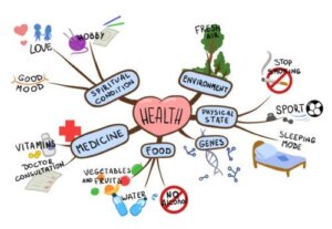 Kinderen leren hoe ze mindmaps kunnen maken om te studeren