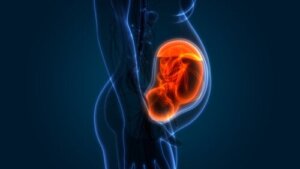 De graden van rijping van de placenta