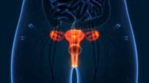 Hoe controleer je je baarmoederhals?