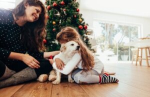 Waar moet je op letten voor je een huisdier aan je kinderen geeft?
